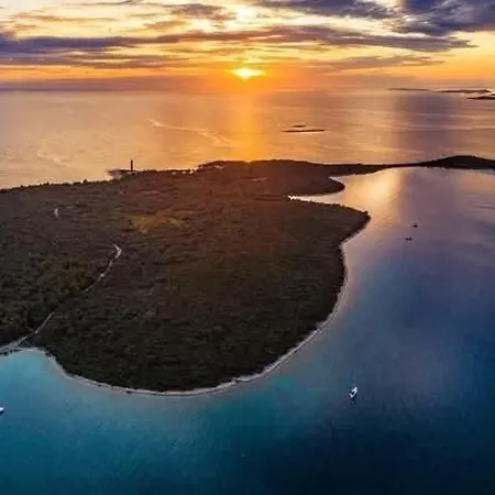 Grbac Veli Rat-seaside 公寓 *