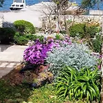 Grbac Veli Rat-seaside