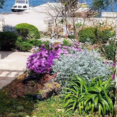 Grbac Veli Rat-seaside